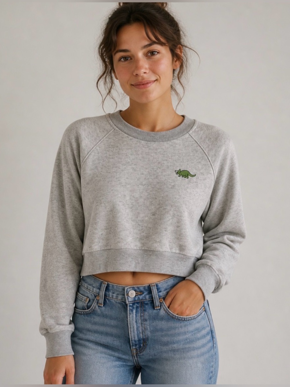 SUNDAY BEST Aritzia Heathered Gray Cropped Sweatshirt with Triceratops